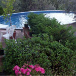 torre di ranza farm in san gimignano, the swimming pool